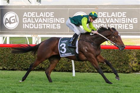 sa derby field|SA Derby Field – 2022 .